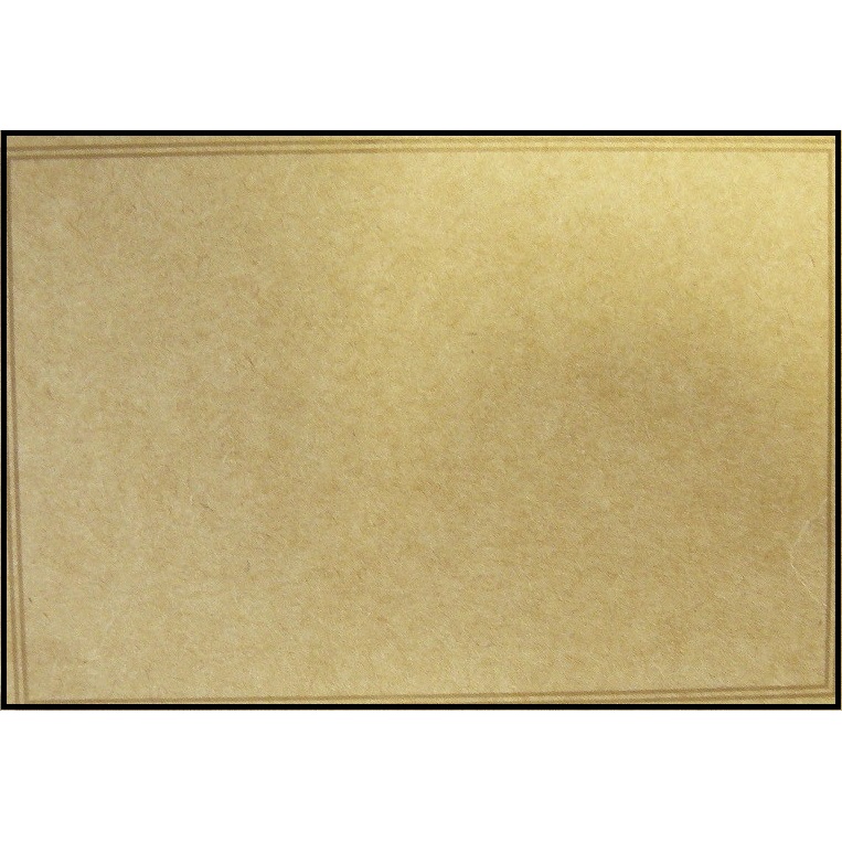 Blank Kraft Large Card | Cards & Envelopes, Eco-Friendly, Florist ...